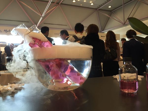 Magische Momente mit THE DRUID an der IFSCC Konferenz 2015